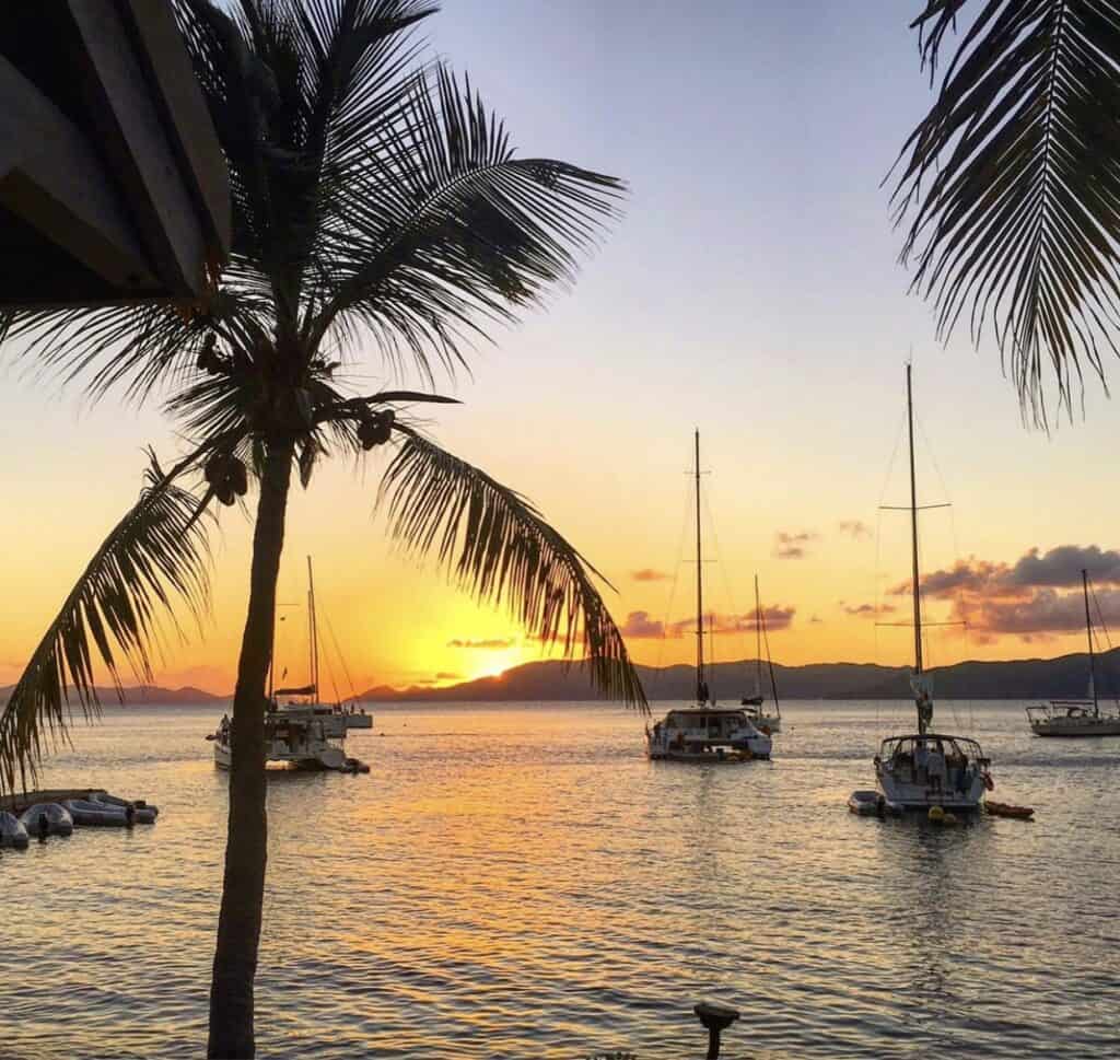 An ocean view at sunset with palm trees and sail boats on the horizon.